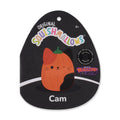 Pumpkin Cam - 6