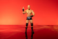 Ring of Honor 6-Inch Christopher Daniels Figure - 8