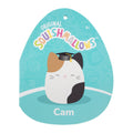 12-Inch Cam the Calico Cat in Graduation Cap - 5