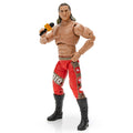 Ring of Honor Claudio Castagnoli - 18