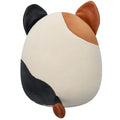 8-Inch Select Series: Cookie Cam - 4