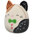 8-Inch Select Series: Cookie Cam - 2