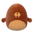 Corduroy Sealife 6 Pack - 8
