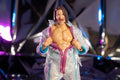 Ring of Honor 6-Inch Dalton Castle Figure - 7