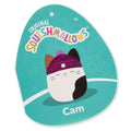 14-Inch Cam Calico Cat with Purple Hat - 6