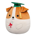 12-Inch Brenden the Jack Russell Terrier in Graduation Cap - 2