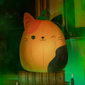 Pumpkin Cam - 2