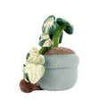 Greenhouse by Russ 12-Inch Pothos Plant Plush - 3