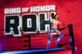 Ring of Honor 6-Inch Dalton Castle Figure - 8