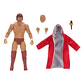 Ring of Honor Bryan Danielson - 13