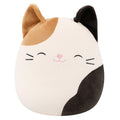 Cam the Calico Cat - 1