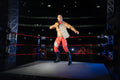Ring of Honor Claudio Castagnoli - 10