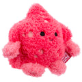Starfish Sandrine - 2