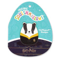 Harry Potter 10-Inch Hufflepuff Badger in Hogwarts Robe - 5