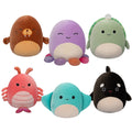 Corduroy Sealife 6 Pack - 1