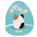 Cam the Calico Cat - 5