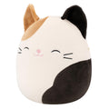 Cam the Calico Cat - 2