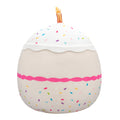 14-Inch Lyla Vanilla Birthday Cake With Rainbow Sprinkles Embroidery - 4
