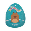 14-Inch Lijjian the Brown Capybara - 5