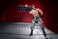 Ring of Honor 6-Inch Mark Briscoe Figure - 3