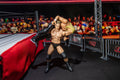 Ring of Honor Nigel McGuinness vs. Jerry Lynn - 8