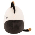 Cam the Calico Cat - 3