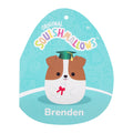 12-Inch Brenden the Jack Russell Terrier in Graduation Cap - 5