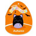 Autumn the Black Cat with Purple Belly - 5