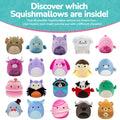 12-Inch Mystery Plush 3 Pack - 2