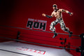 Ring of Honor 6-Inch Mark Briscoe Figure - 6