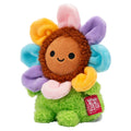 Gerbera Daisy Grayce - 2