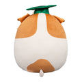 12-Inch Brenden the Jack Russell Terrier in Graduation Cap - 4