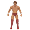 Ring of Honor Bryan Danielson - 16