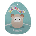 16-Inch Reggie the Brown Ram - 5