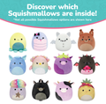 100 Inches of Squish 13-Pack Mystery Box - 2