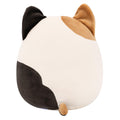 Cam the Calico Cat - 4