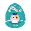 8-Inch Harris the Brown Spotted Dog in Graduation Cap - 5