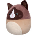 16-Inch Woodward the Brown and Tan Snowshoe Cat - 3