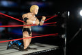 Ring of Honor Kenny Omega - 9