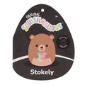 8-Inch Stokely the Brown Kodiak Bear Holding a Rainbow Heart - 7