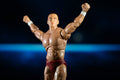 Ring of Honor Bryan Danielson - 5