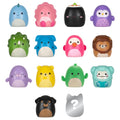 Squish-a-longs Mini-Squish 14-Pack Style 2 - 2