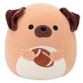 14-Inch Daryl the Brown Dog Holding Football - 1