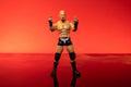 Ring of Honor 6-Inch Christopher Daniels Figure - 9