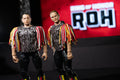 Ring of Honor The Young Bucks - 6