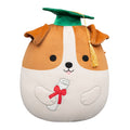 12-Inch Brenden the Jack Russell Terrier in Graduation Cap - 1