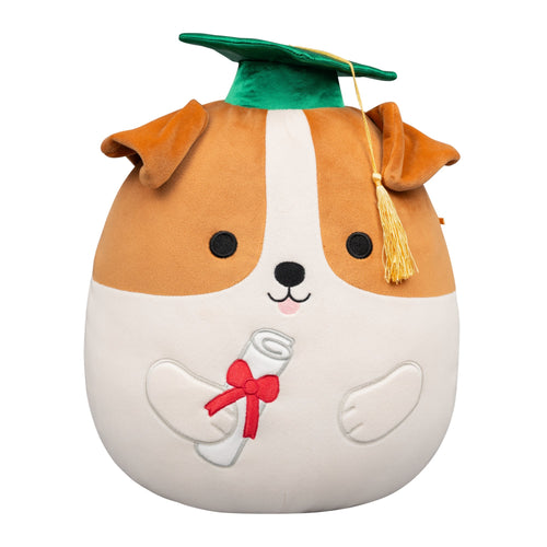 Squishmallows Brenden Jack Russell Terrier Plush with Green Graduation Cap 12"