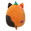 Pumpkin Cam - 5