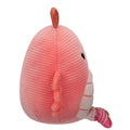 Corduroy Sealife 6 Pack - 5