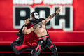 Ring of Honor Danhausen - 13